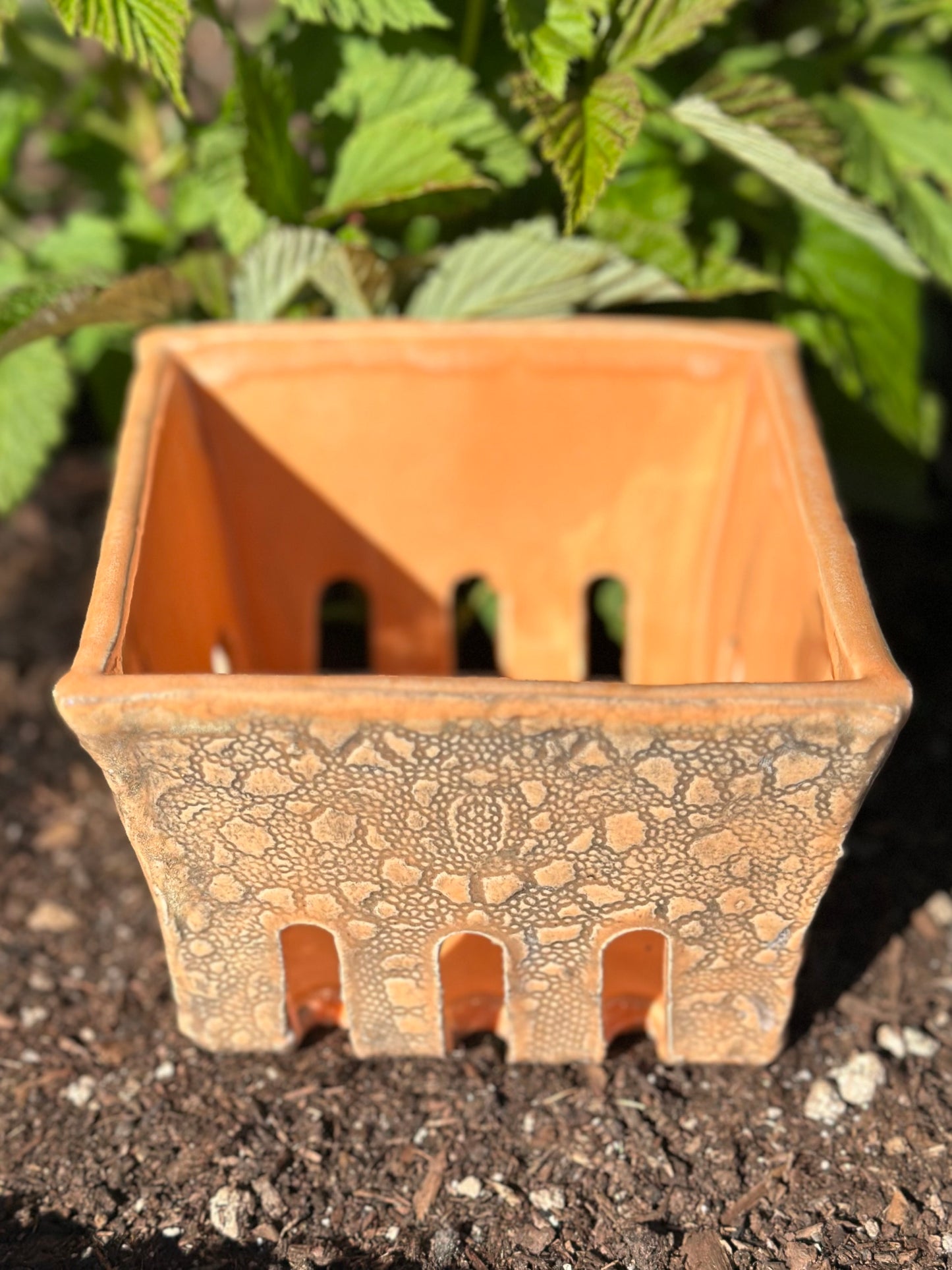 Berry Basket - Orange Lace Texture