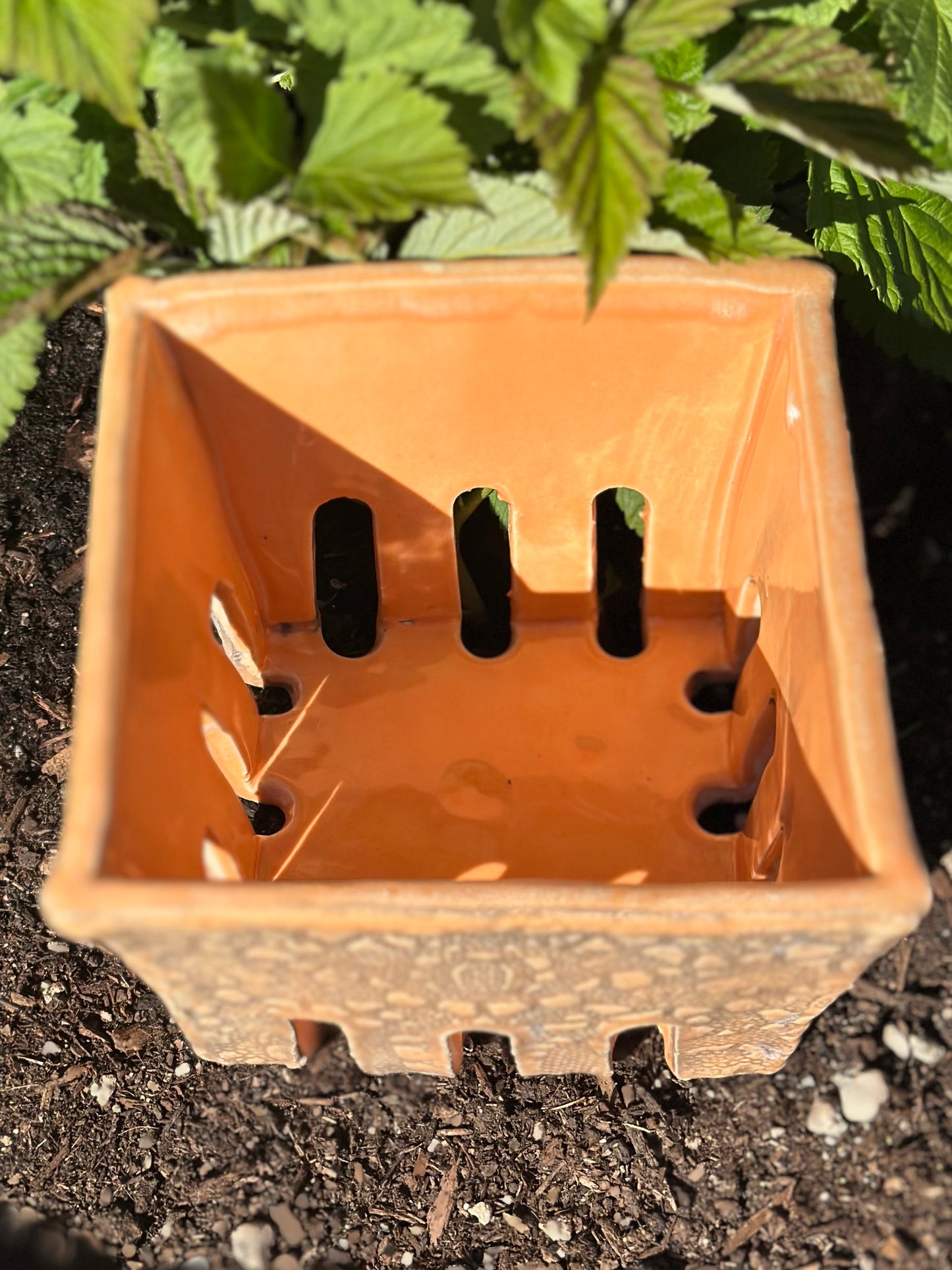 Berry Basket - Orange Lace Texture