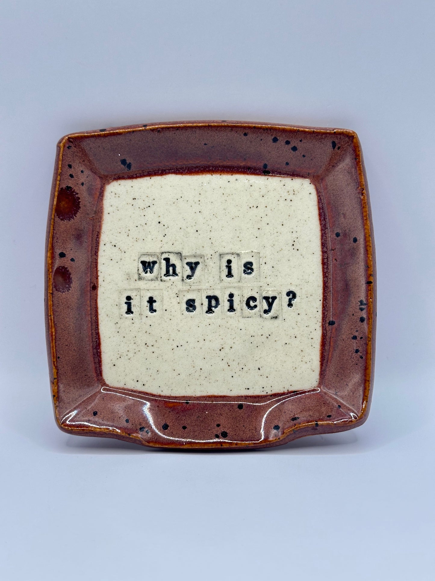 Spoon Rest Square - Why is it spicy - multiple colors