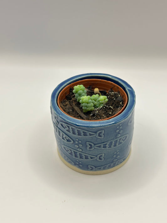 2" Plant Pot - Various Textures & Colors