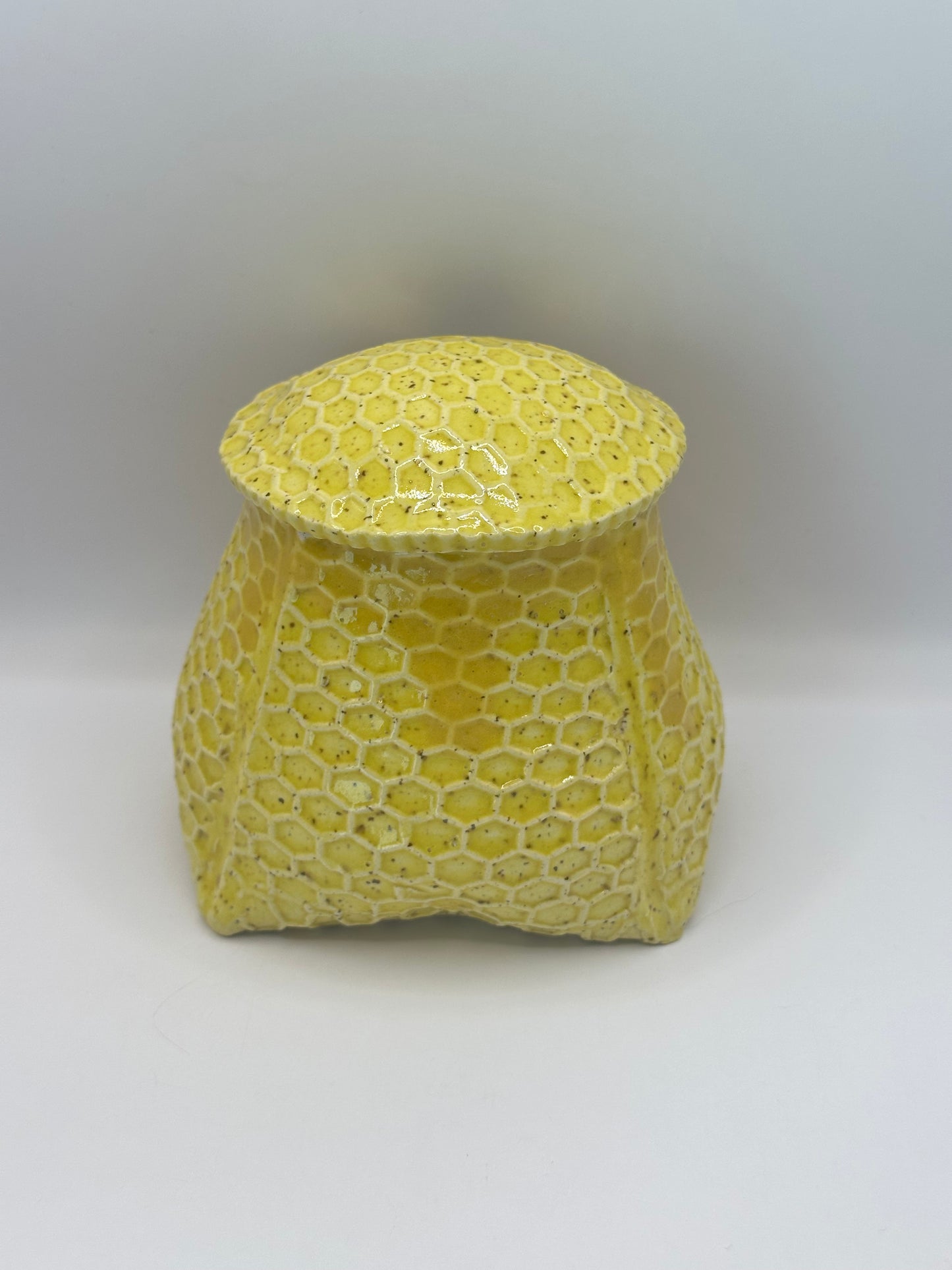 Honey Pot - Textured Honeycomb w/Bee Wand