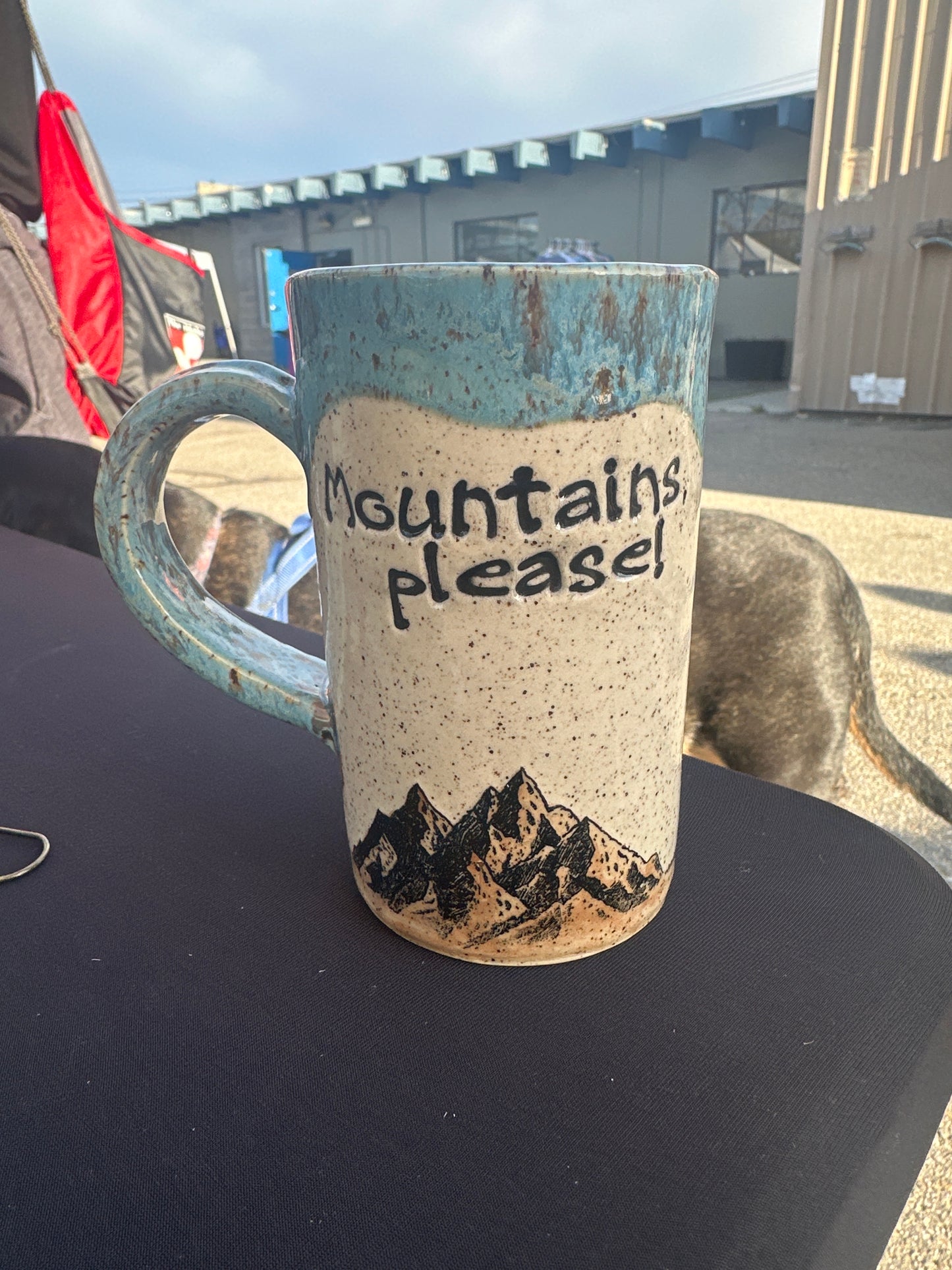 Mug 16 oz - Mountains, please -multiple colors