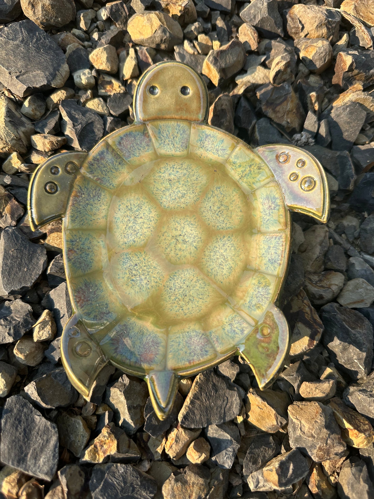 Turtle Dish - multiple colors
