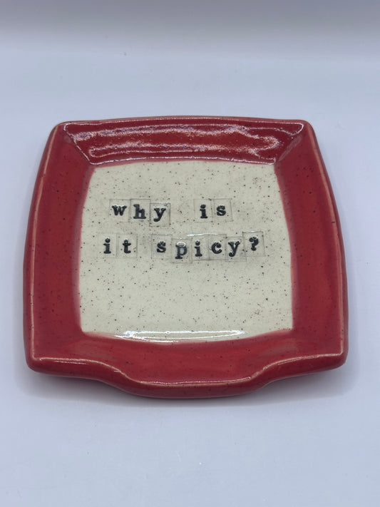 Spoon Rest Square - Why is it spicy - multiple colors